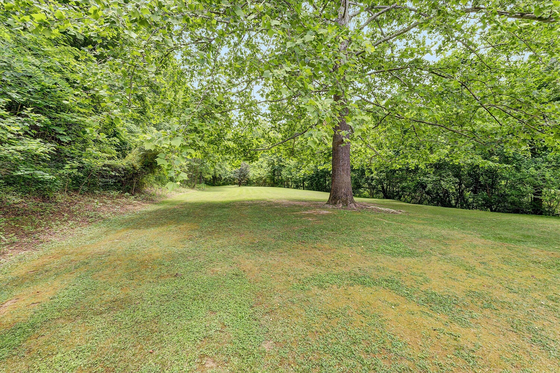 6715 Mckinney Hollow RD - Photo 33