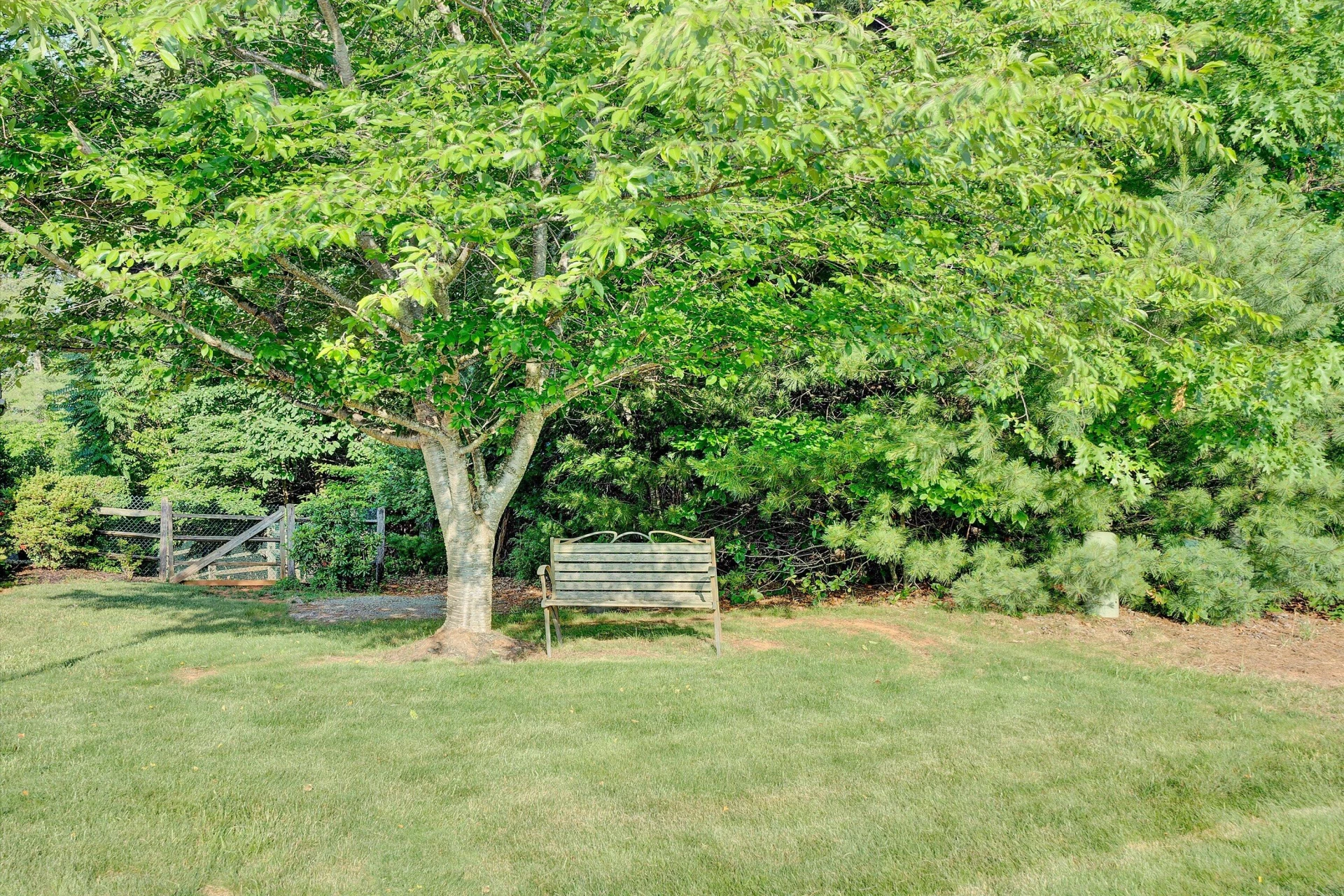 137 SHANLEYS LOOP - Photo 39