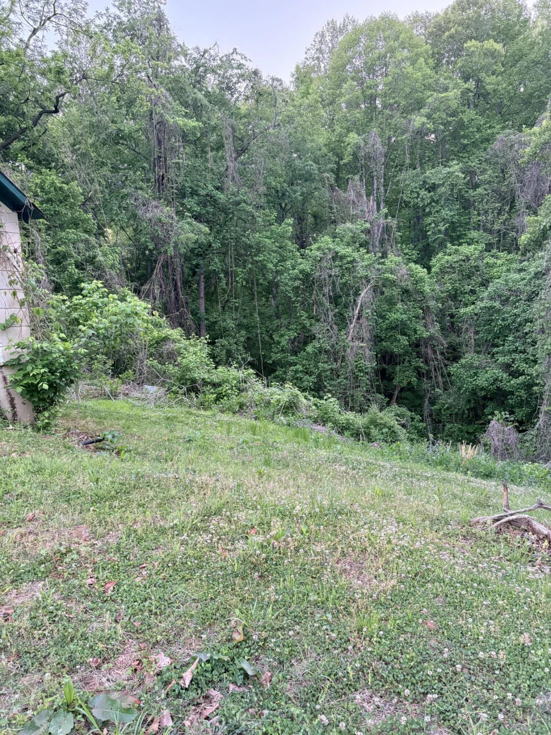 479 Trenthill DR - Photo 3