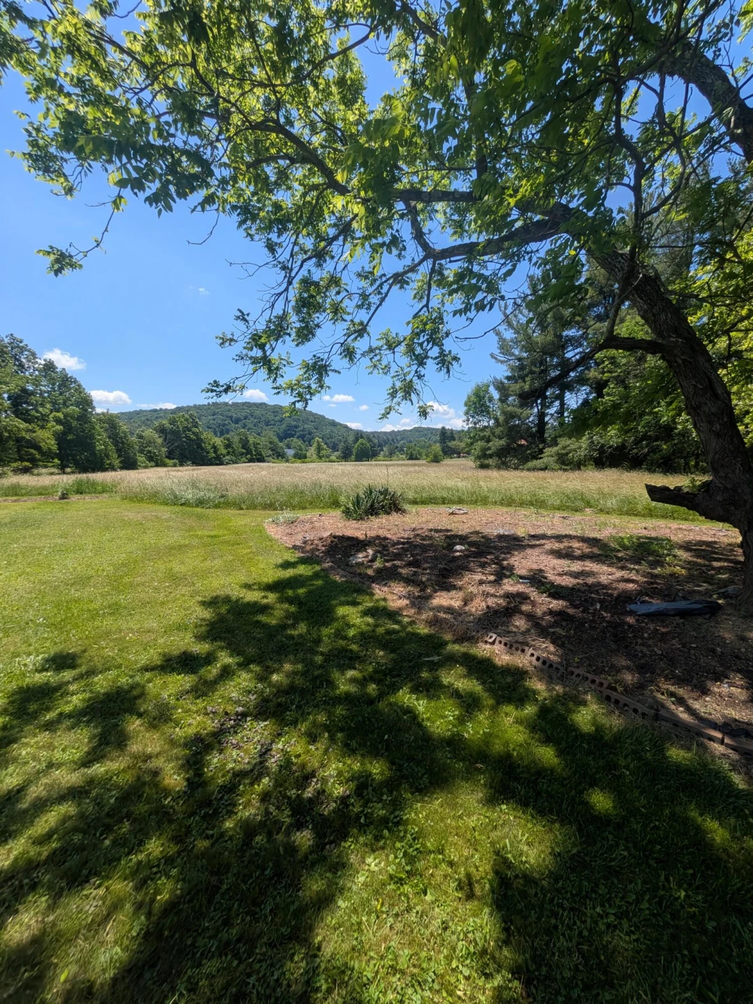 9992 Tinsley LN - Photo 3