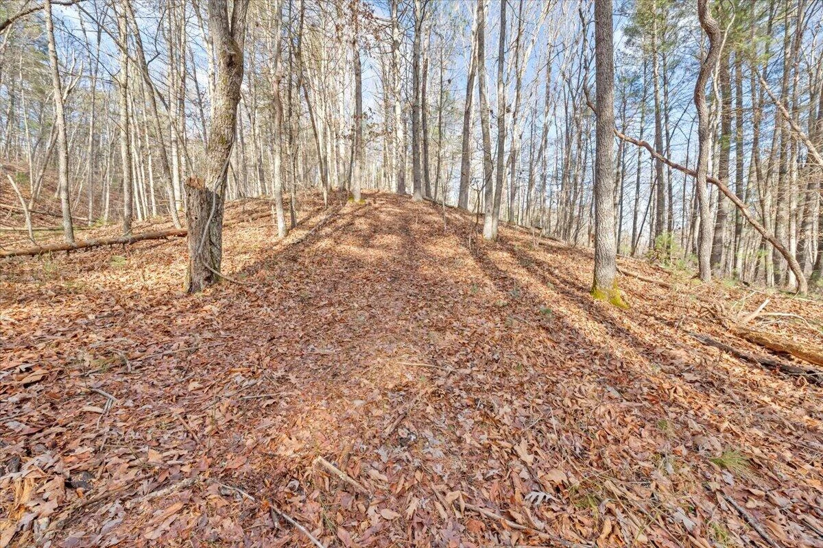 0 Overlook WAY - Photo 15