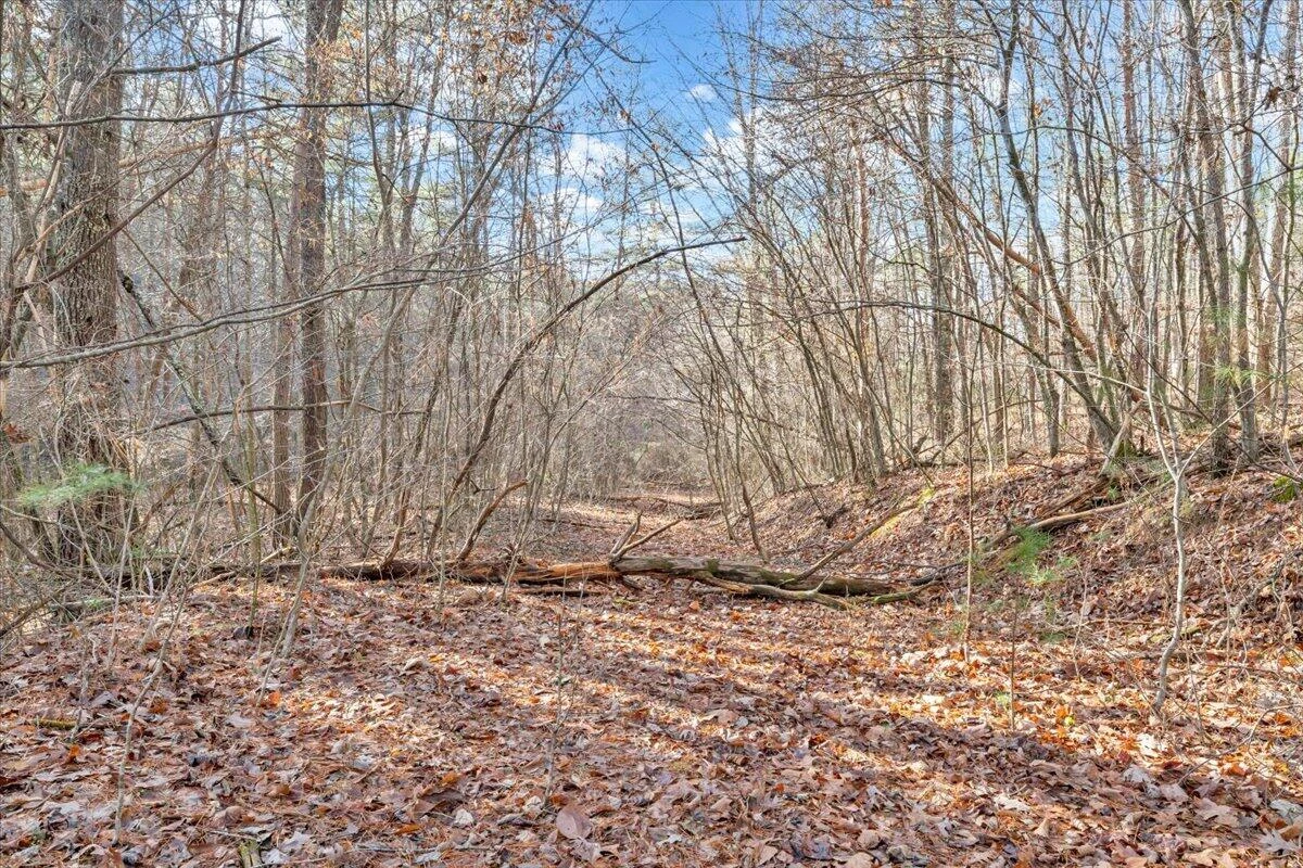 0 Overlook WAY - Photo 16