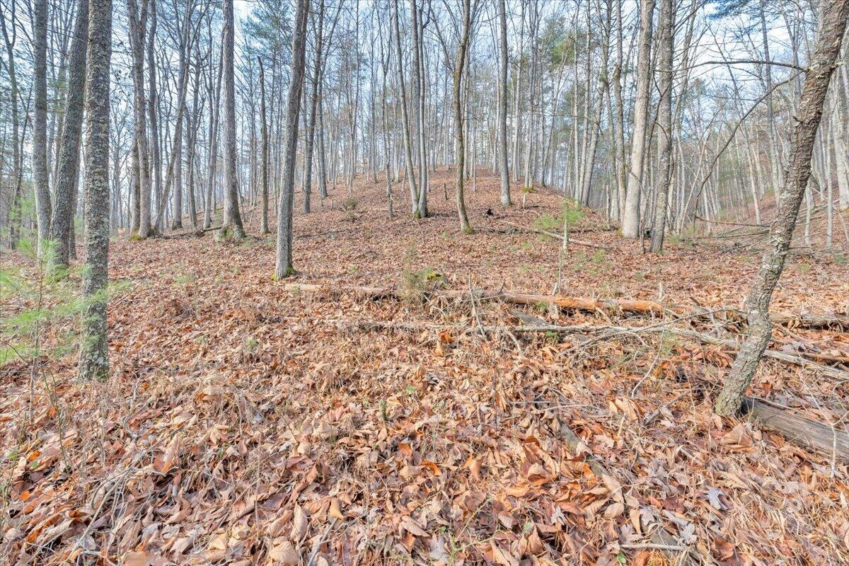 0 Overlook WAY - Photo 24