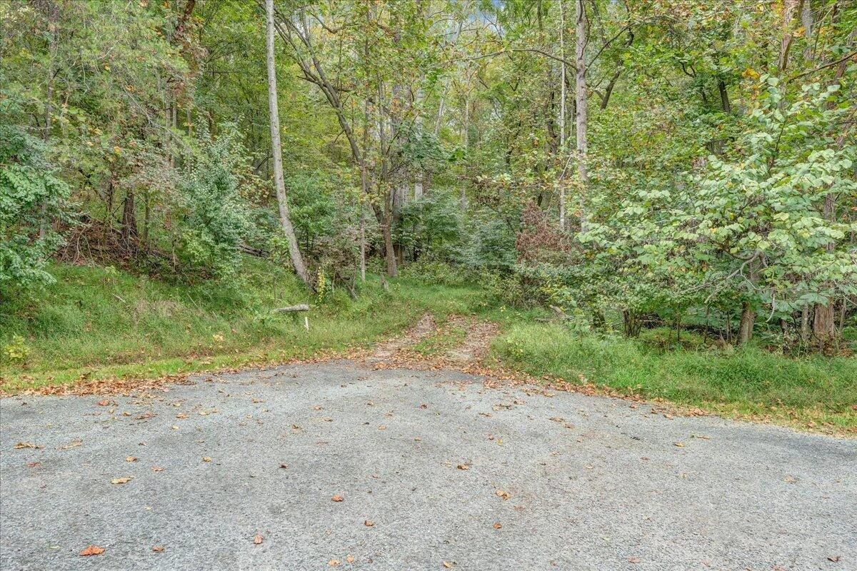 Lot 74 Walnut Run DR - Photo 3