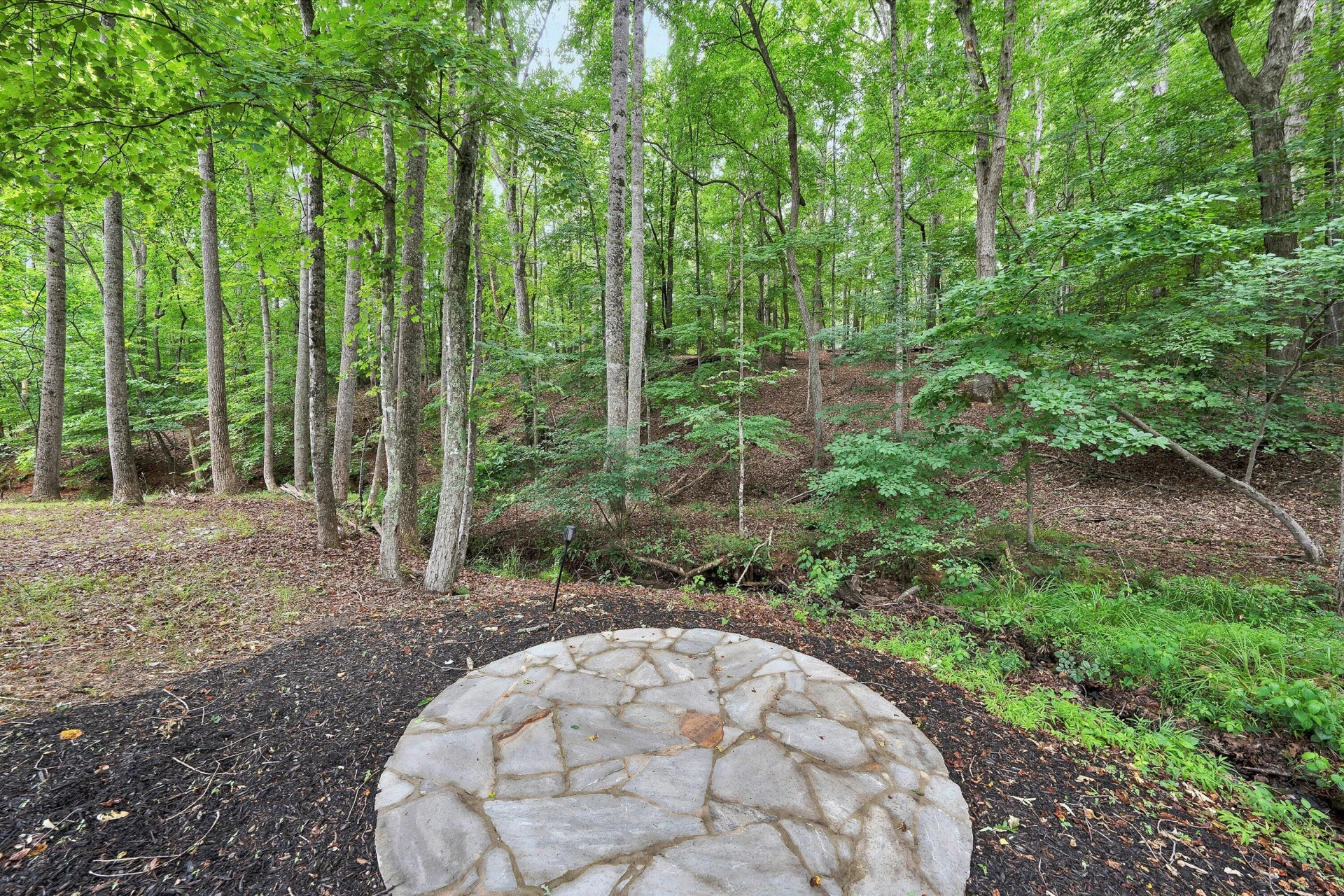 399 Royal Estates BLVD - Photo 51
