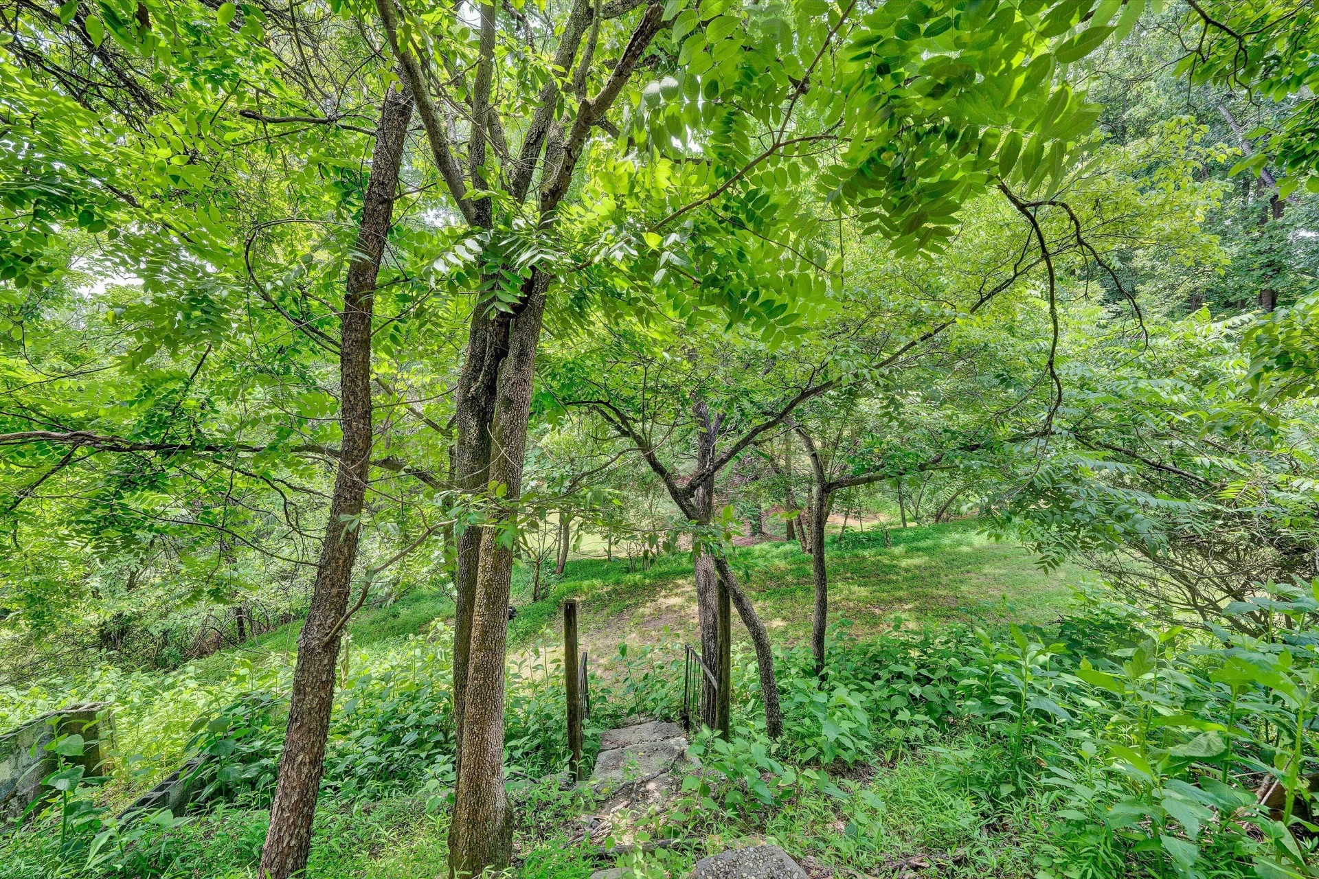 4506 Rosecrest RD - Photo 48