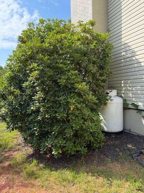 111 Barrington CT - Photo 55