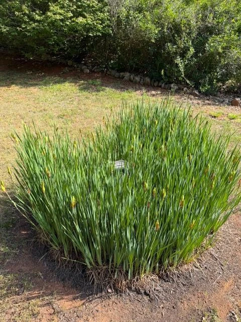 111 Barrington CT - Photo 56