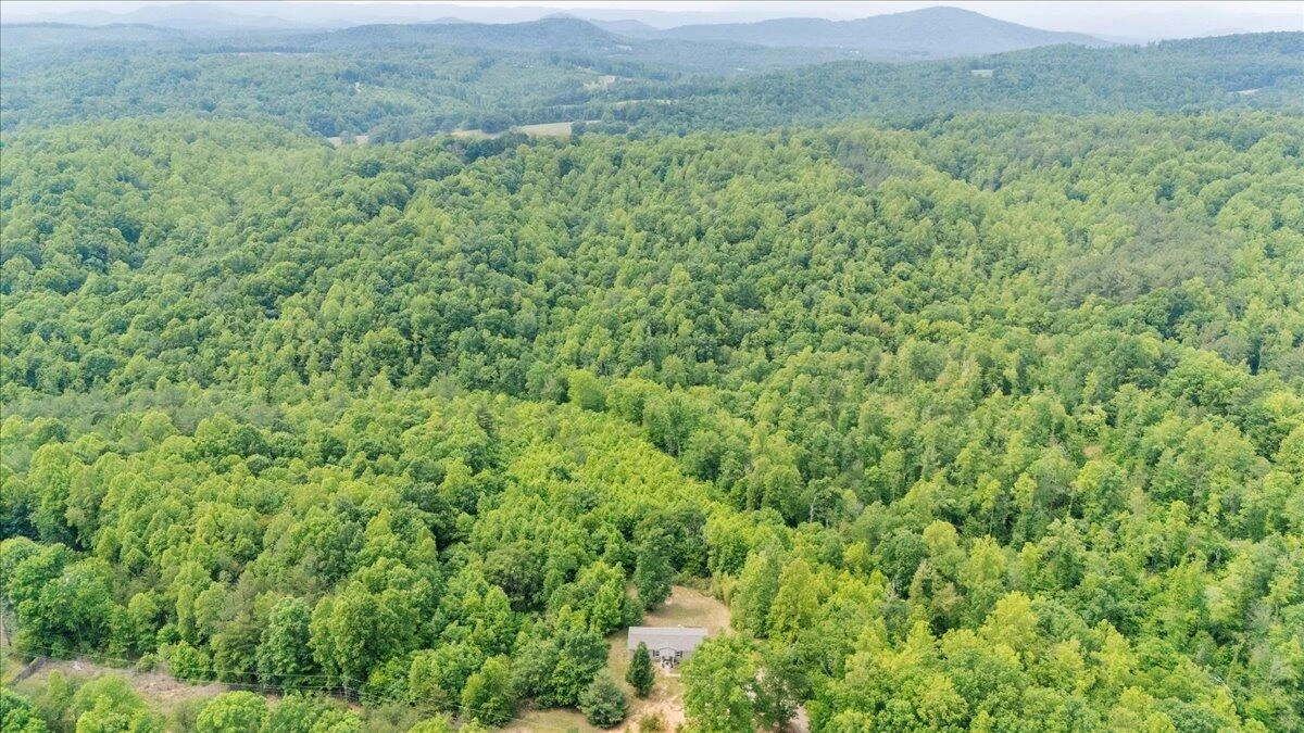 174 Log Cabin CIR - Photo 59