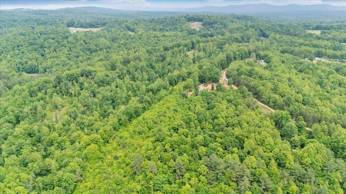 174 Log Cabin CIR - Photo 69