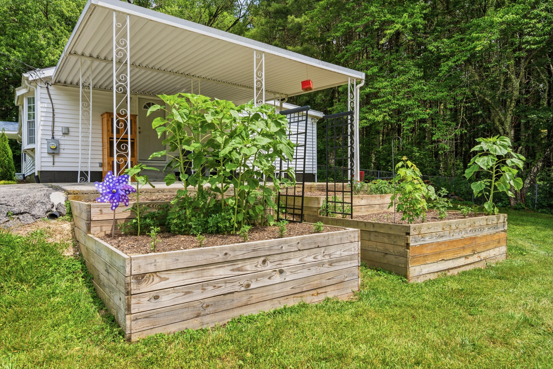 6734 Blacksburg RD - Photo 22