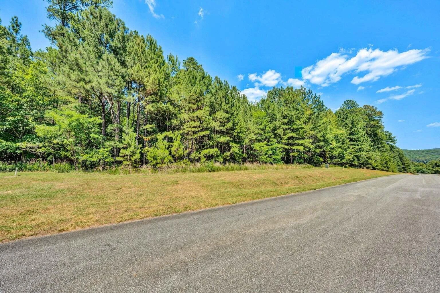 318 Hidden Cove LN - Photo 2