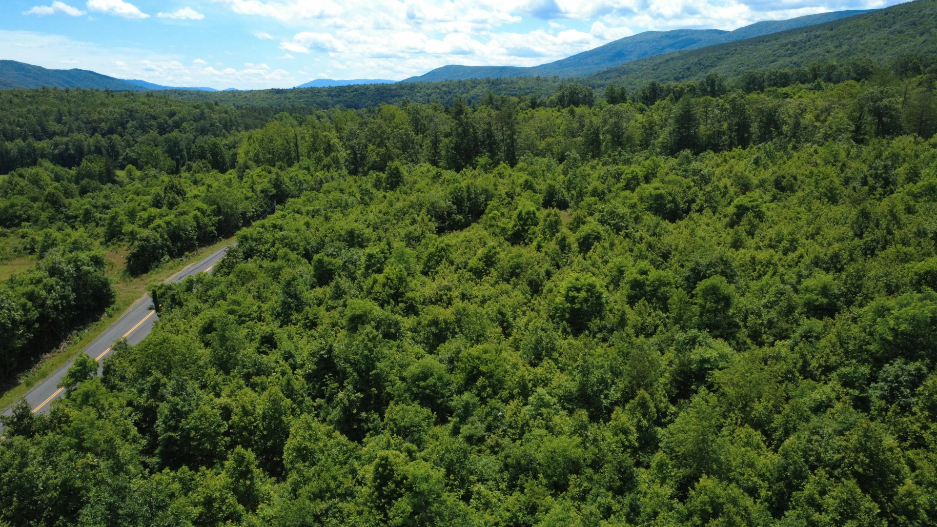 0 Craig Creek RD