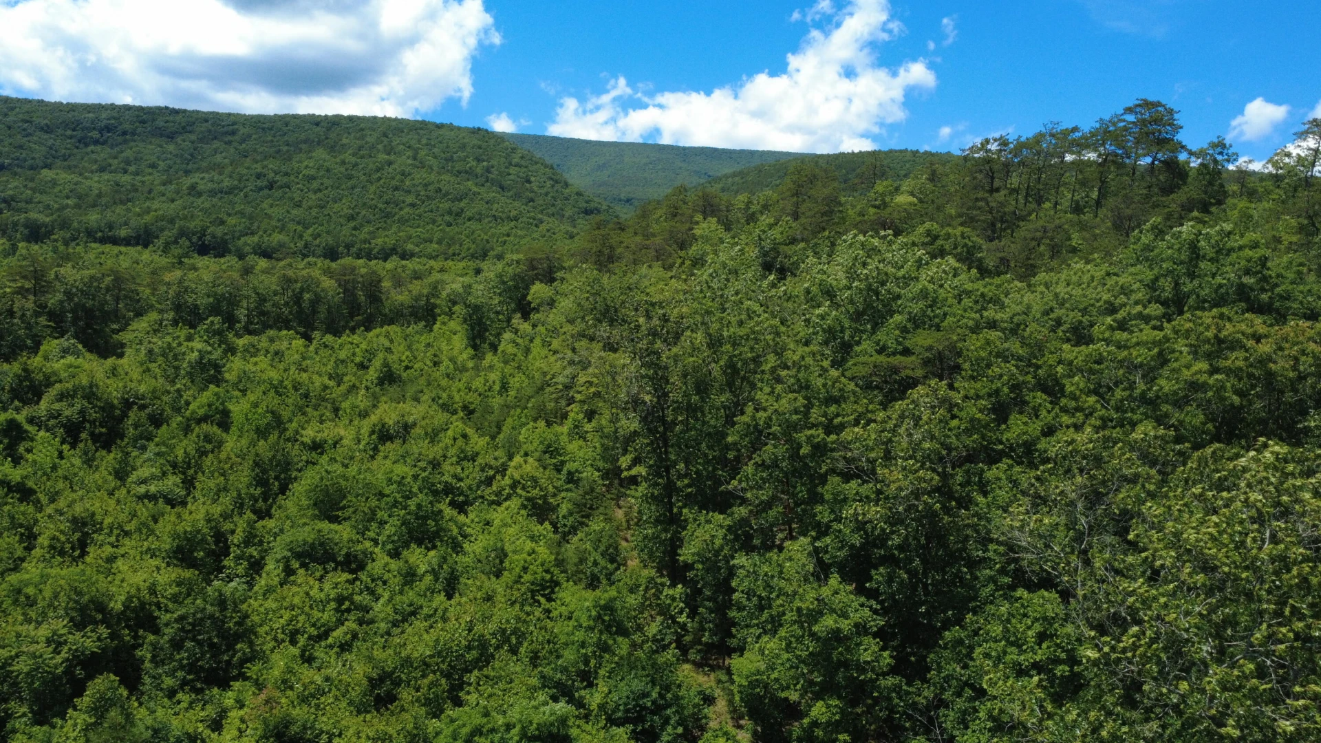 0 Craig Creek RD - Photo 10