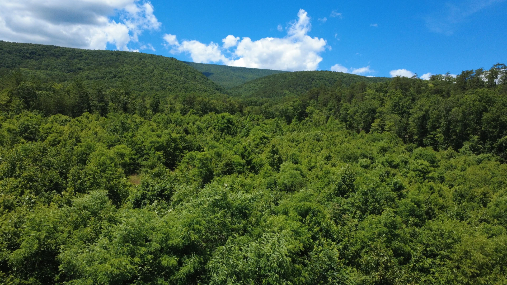 0 Craig Creek RD - Photo 11