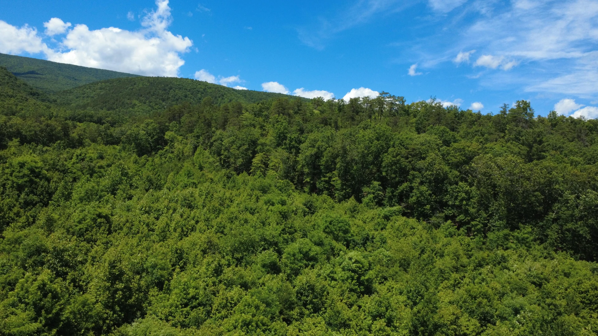0 Craig Creek RD - Photo 12