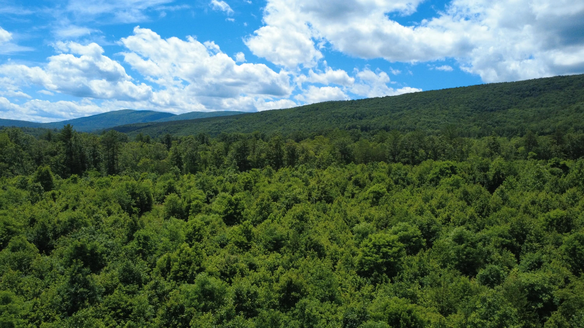 0 Craig Creek RD - Photo 18