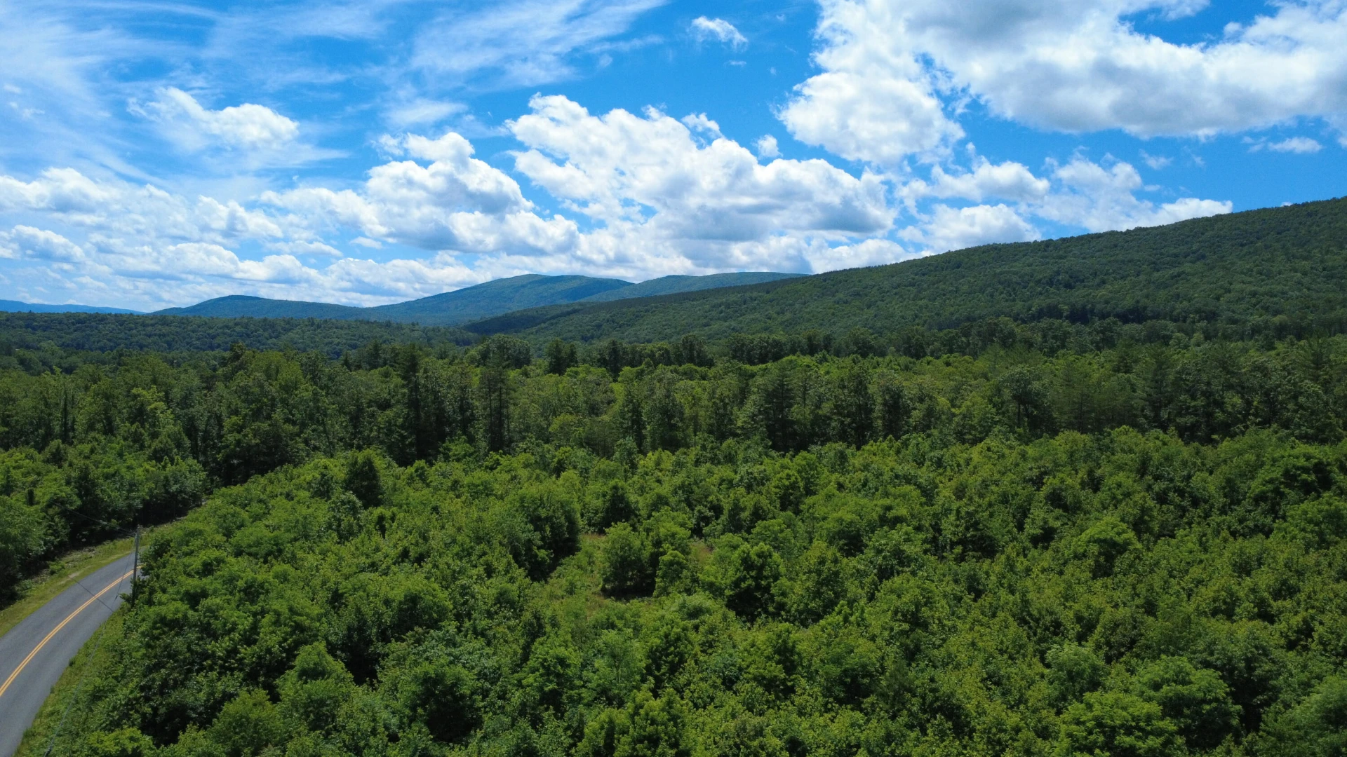 0 Craig Creek RD - Photo 19