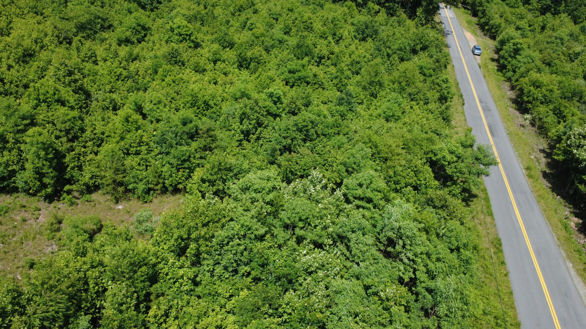0 Craig Creek RD - Photo 2