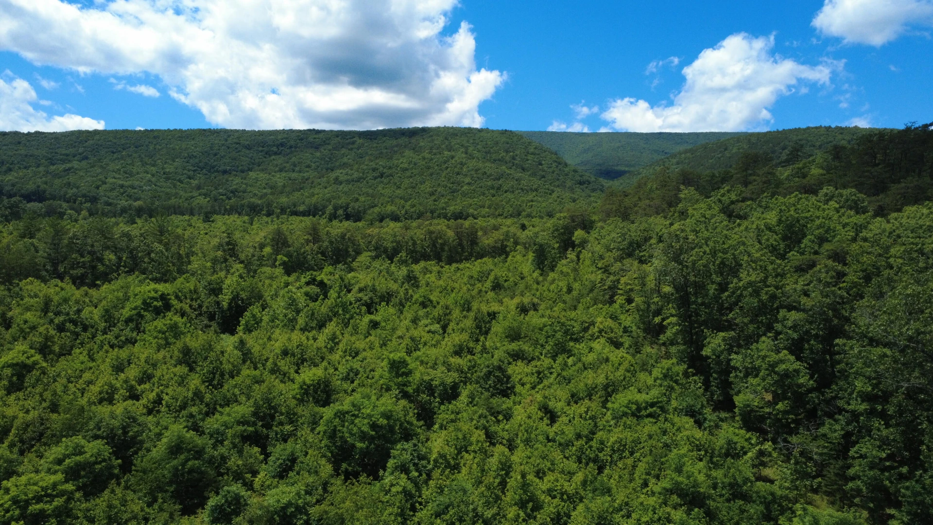 0 Craig Creek RD - Photo 20