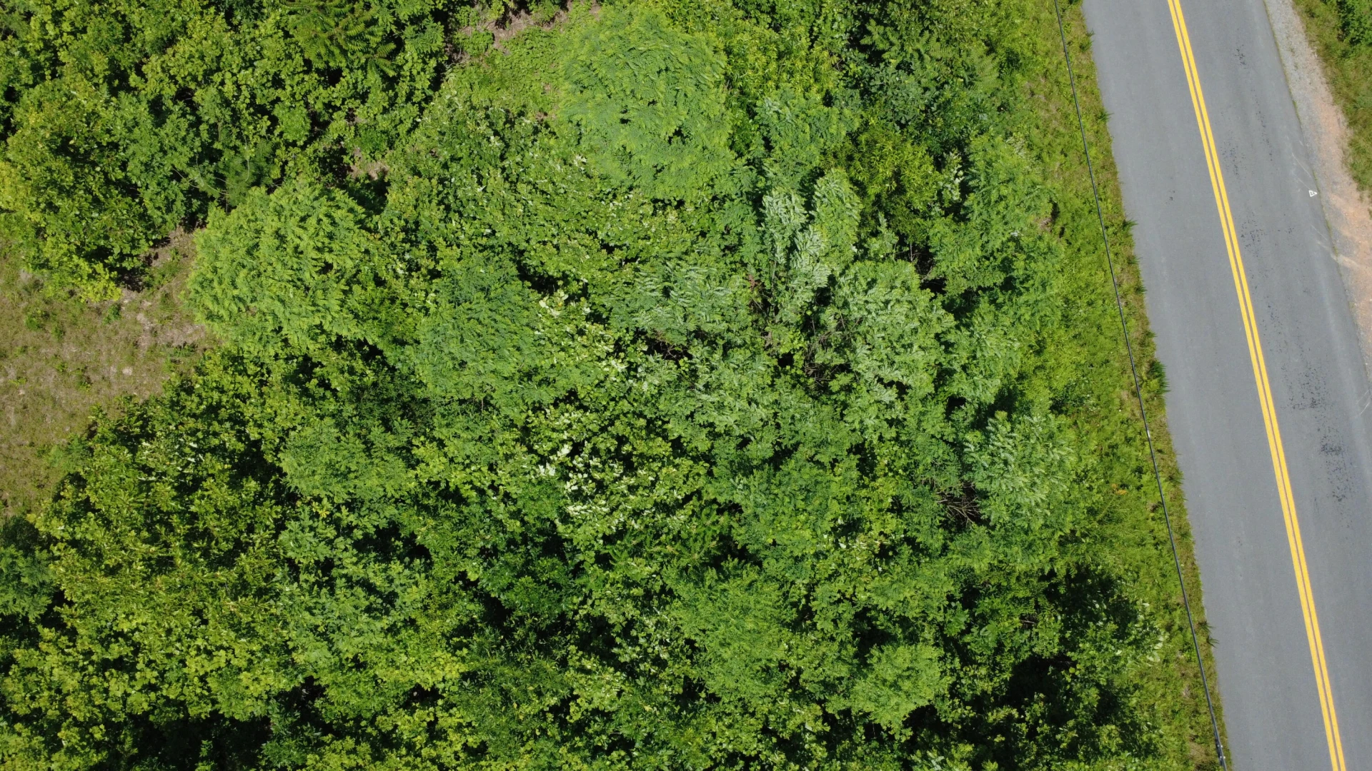 0 Craig Creek RD - Photo 22