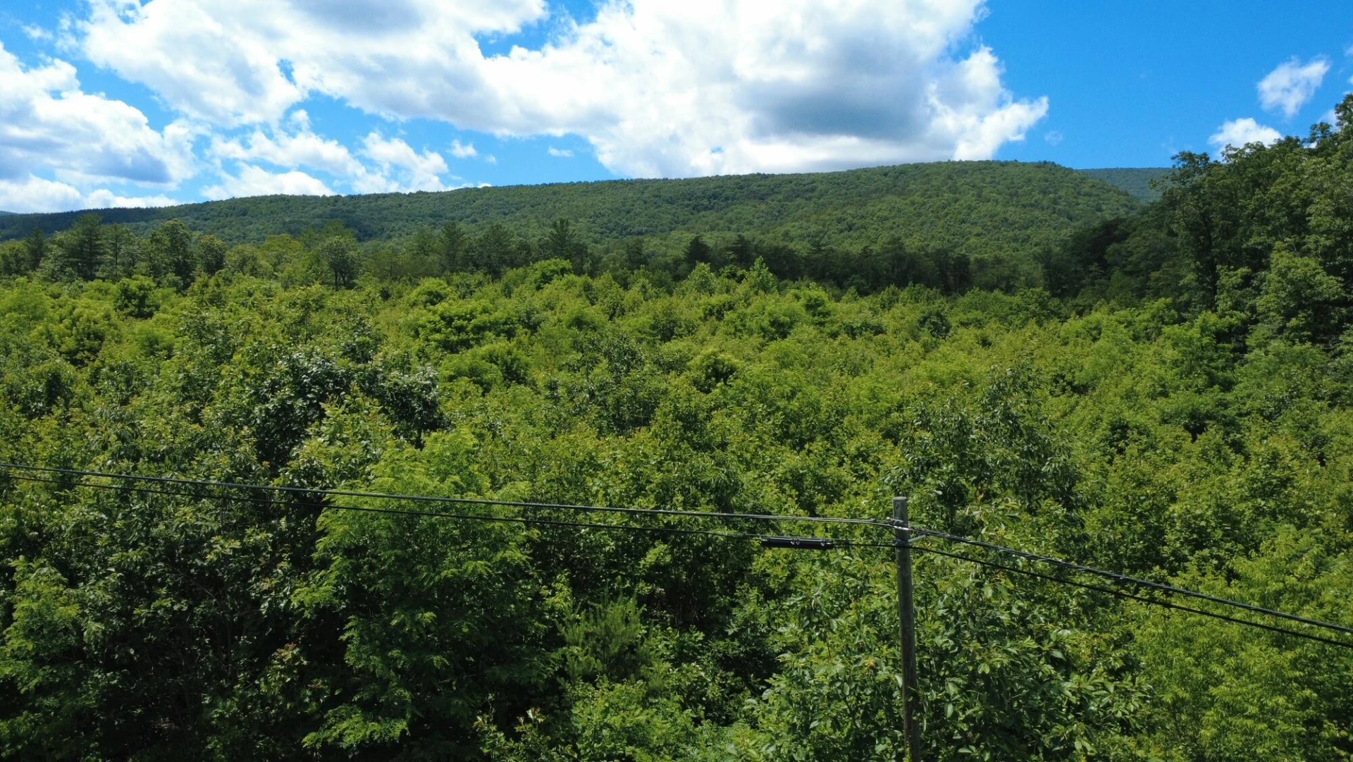 0 Craig Creek RD - Photo 23