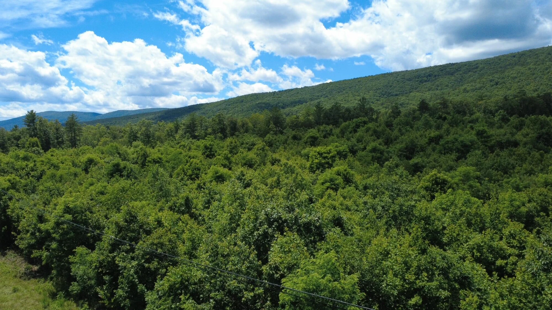 0 Craig Creek RD - Photo 24