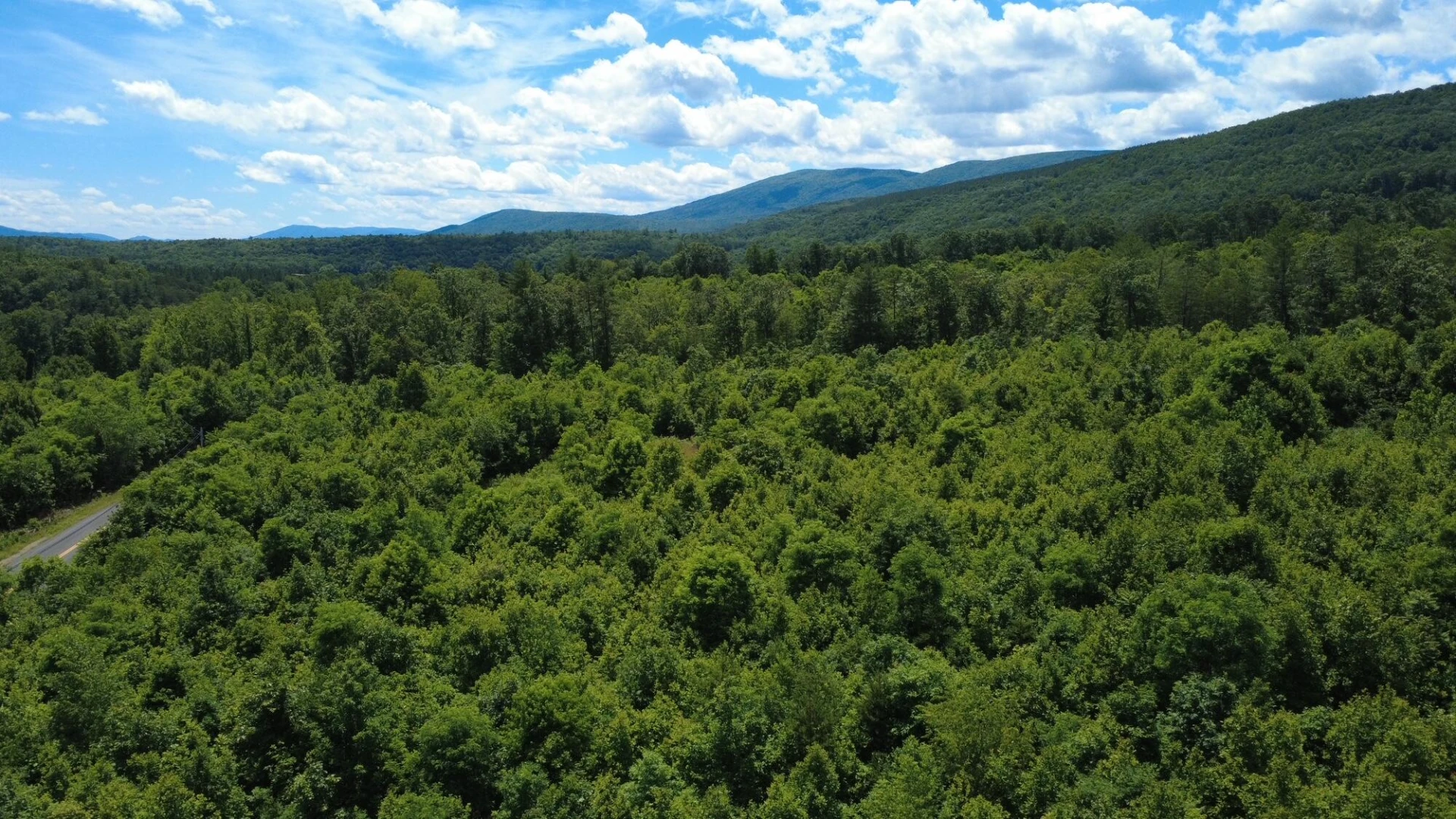 0 Craig Creek RD - Photo 26