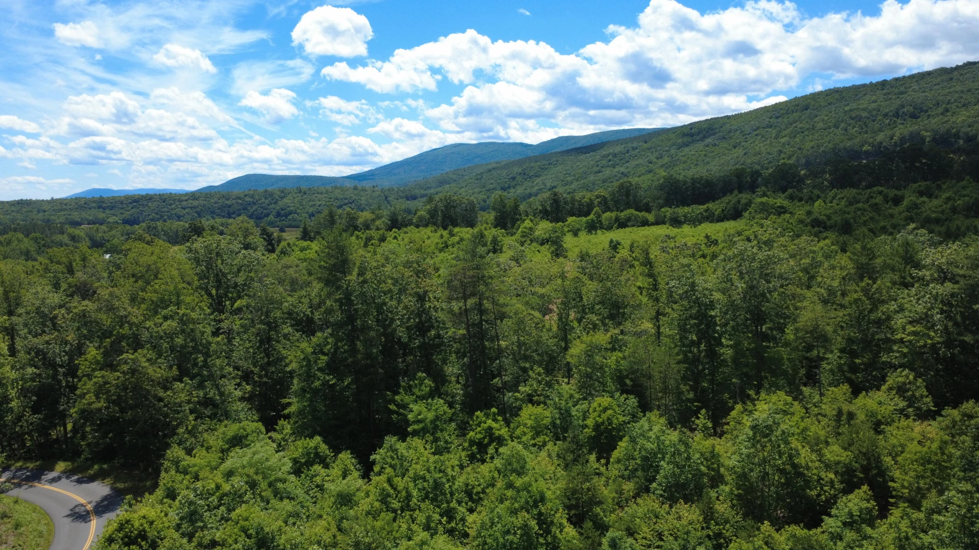 0 Craig Creek RD - Photo 4