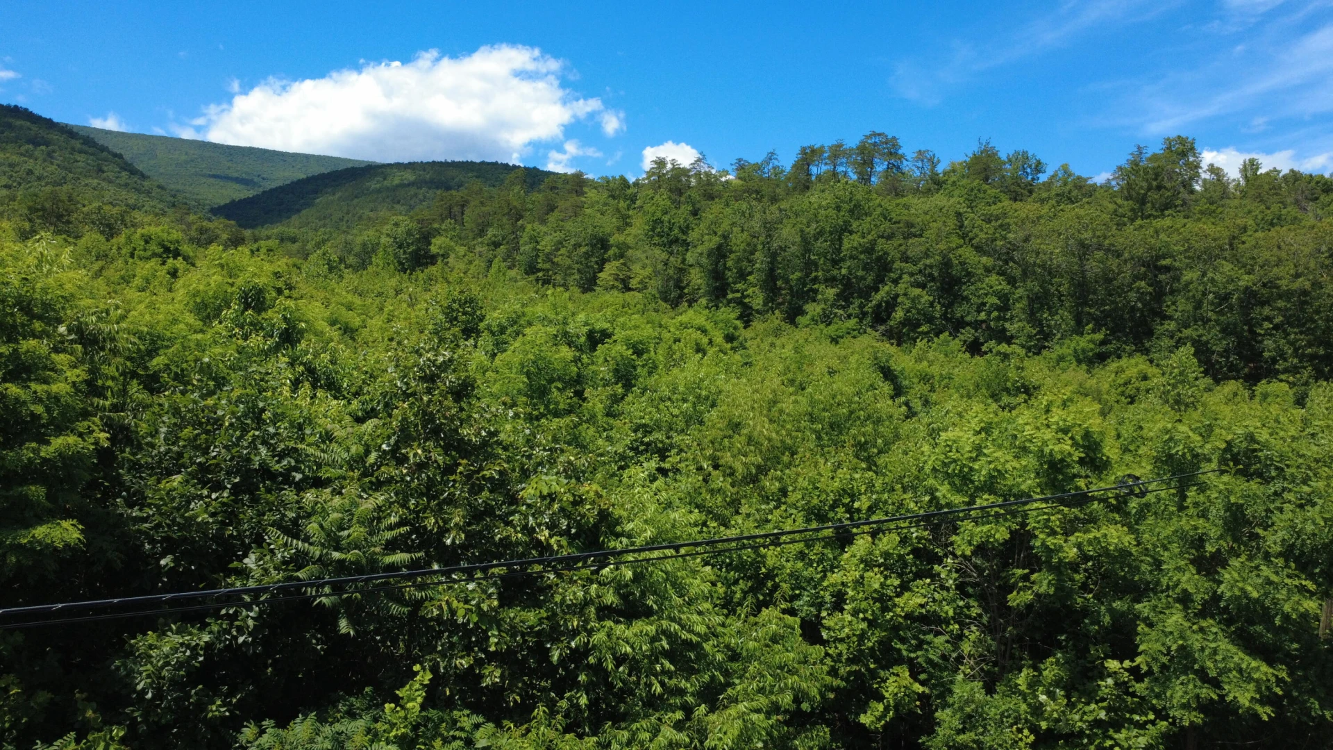 0 Craig Creek RD - Photo 6