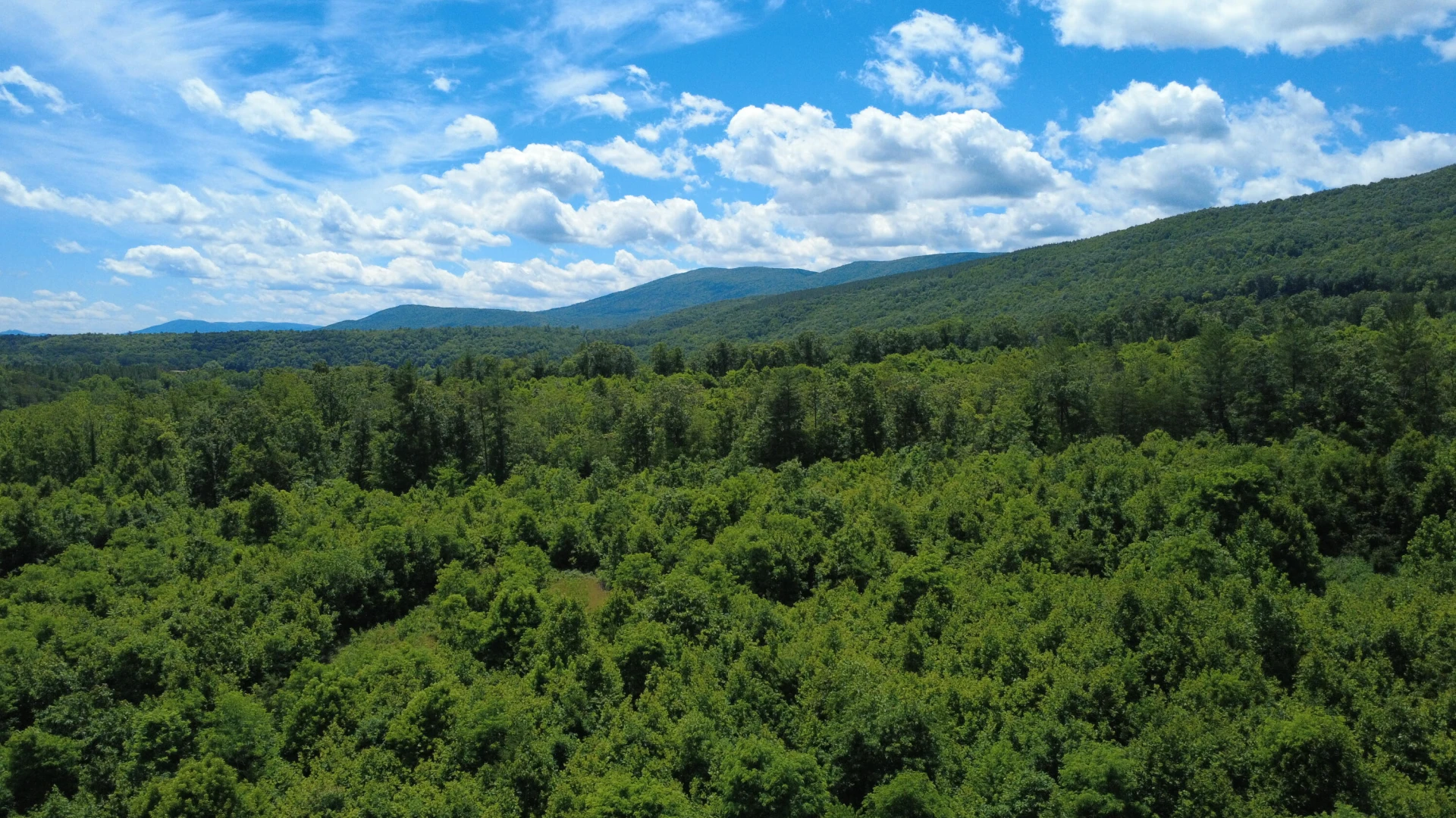 0 Craig Creek RD - Photo 8