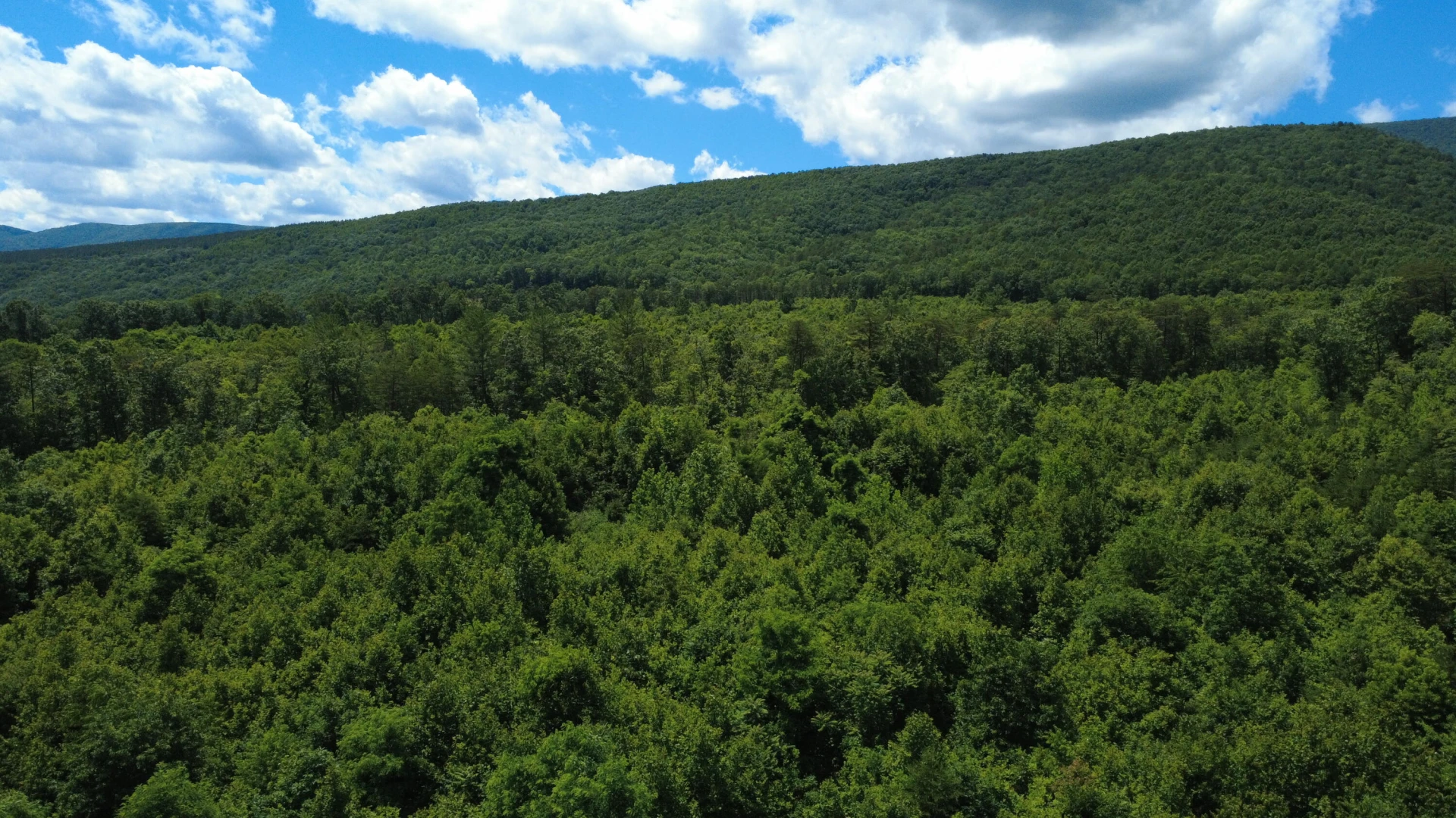 0 Craig Creek RD - Photo 9