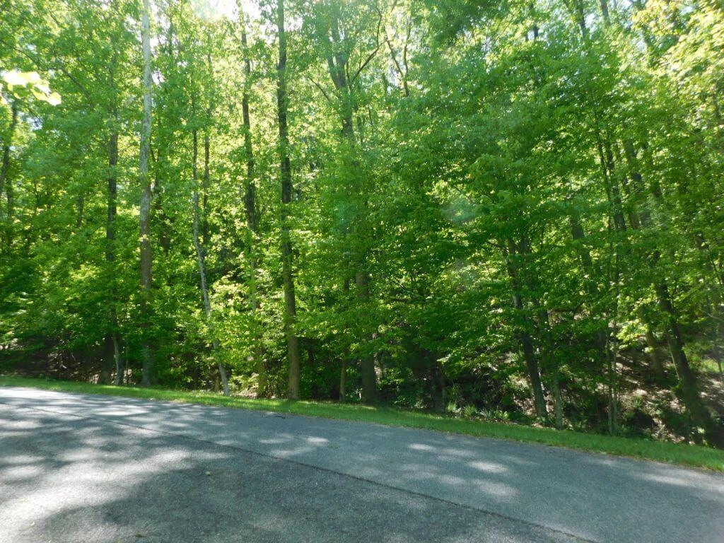 8321 Poplar Springs LN