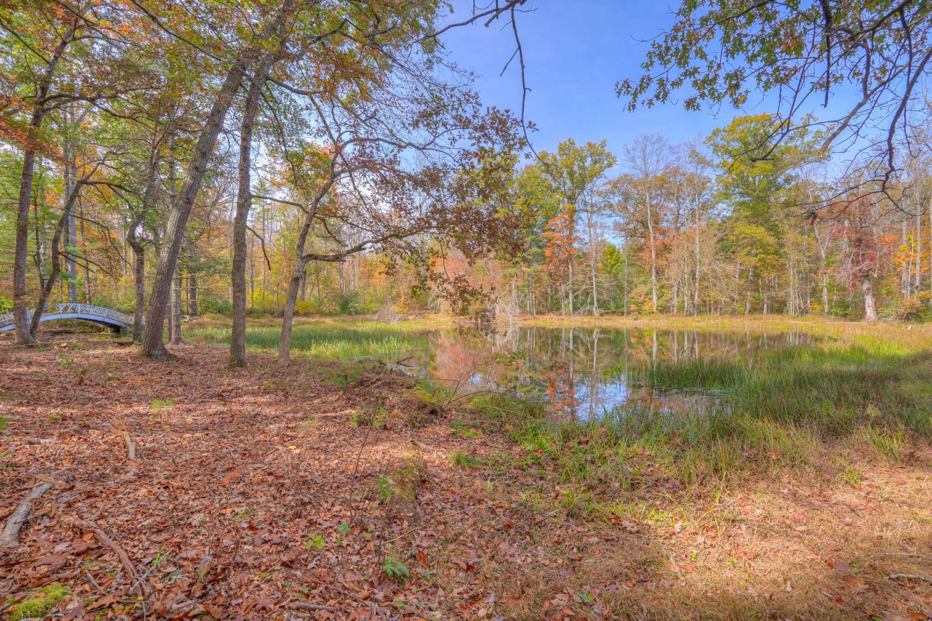 231 Floyd N - Photo 87