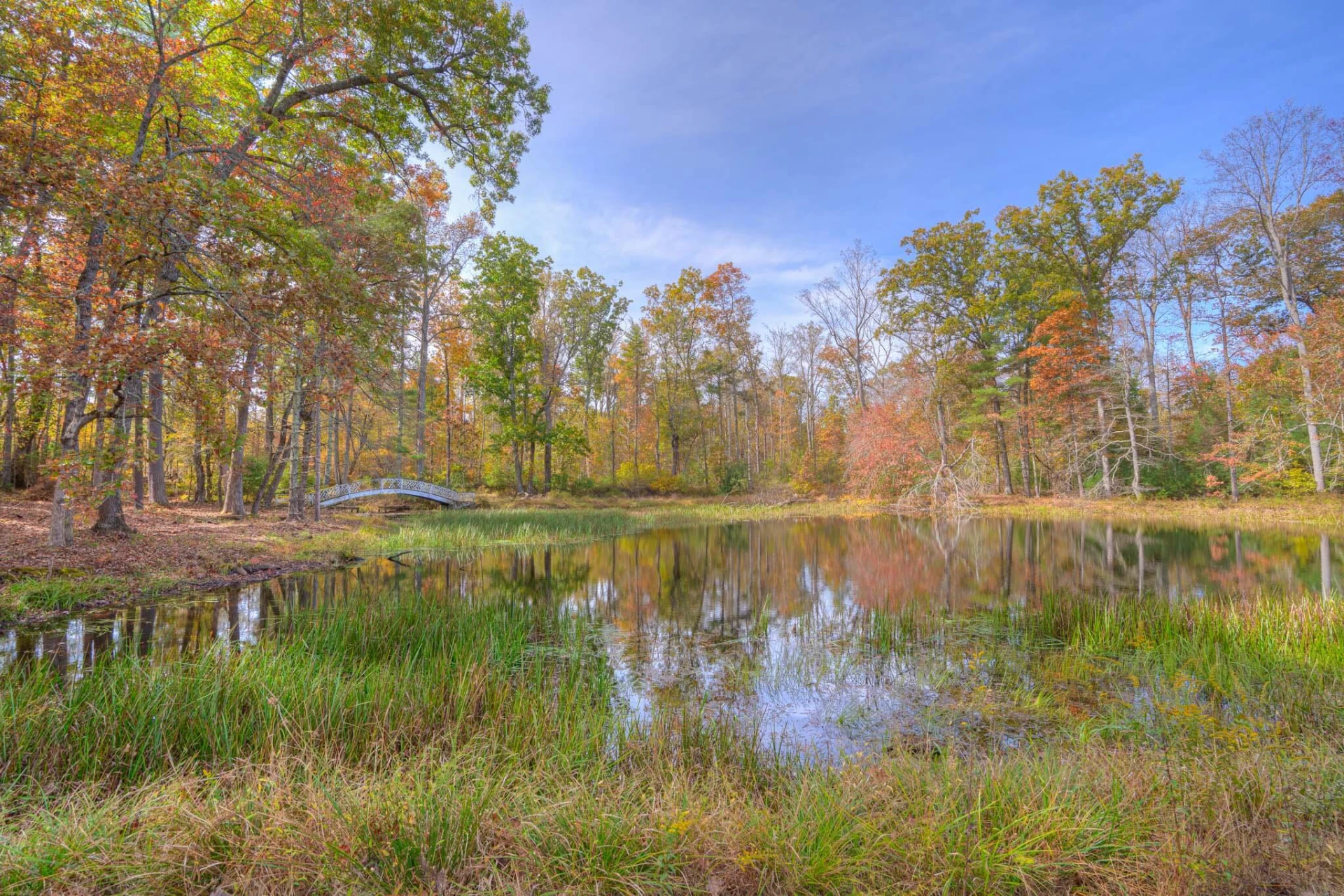 231 Floyd N - Photo 88