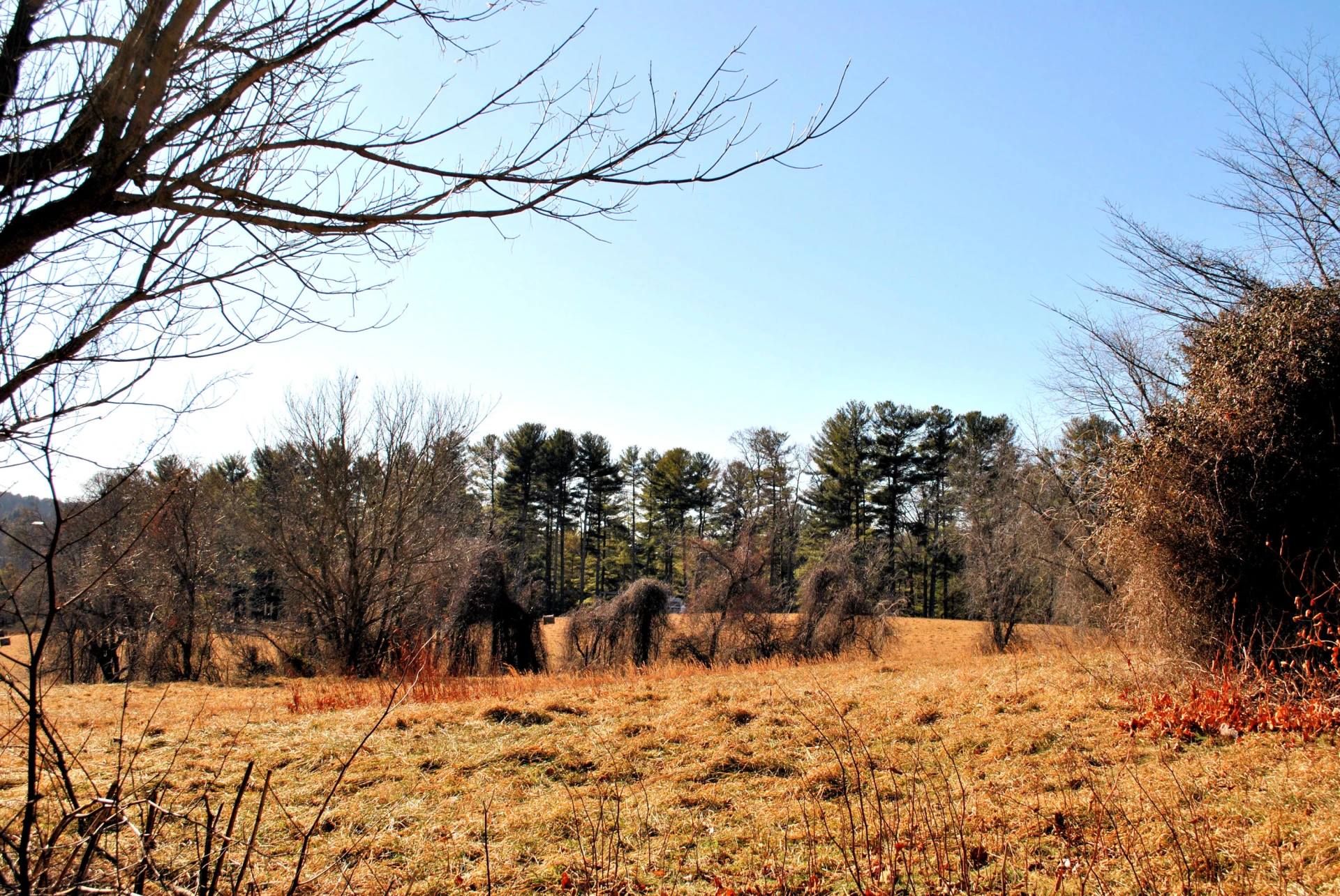 313 Airport RD - Photo 12