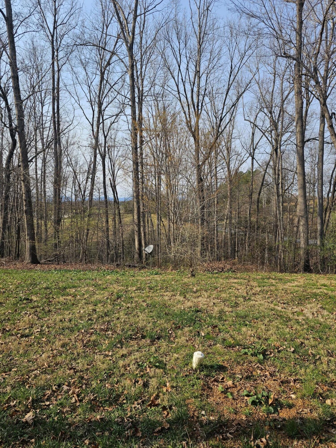 21 Berkeley LN - Photo 9