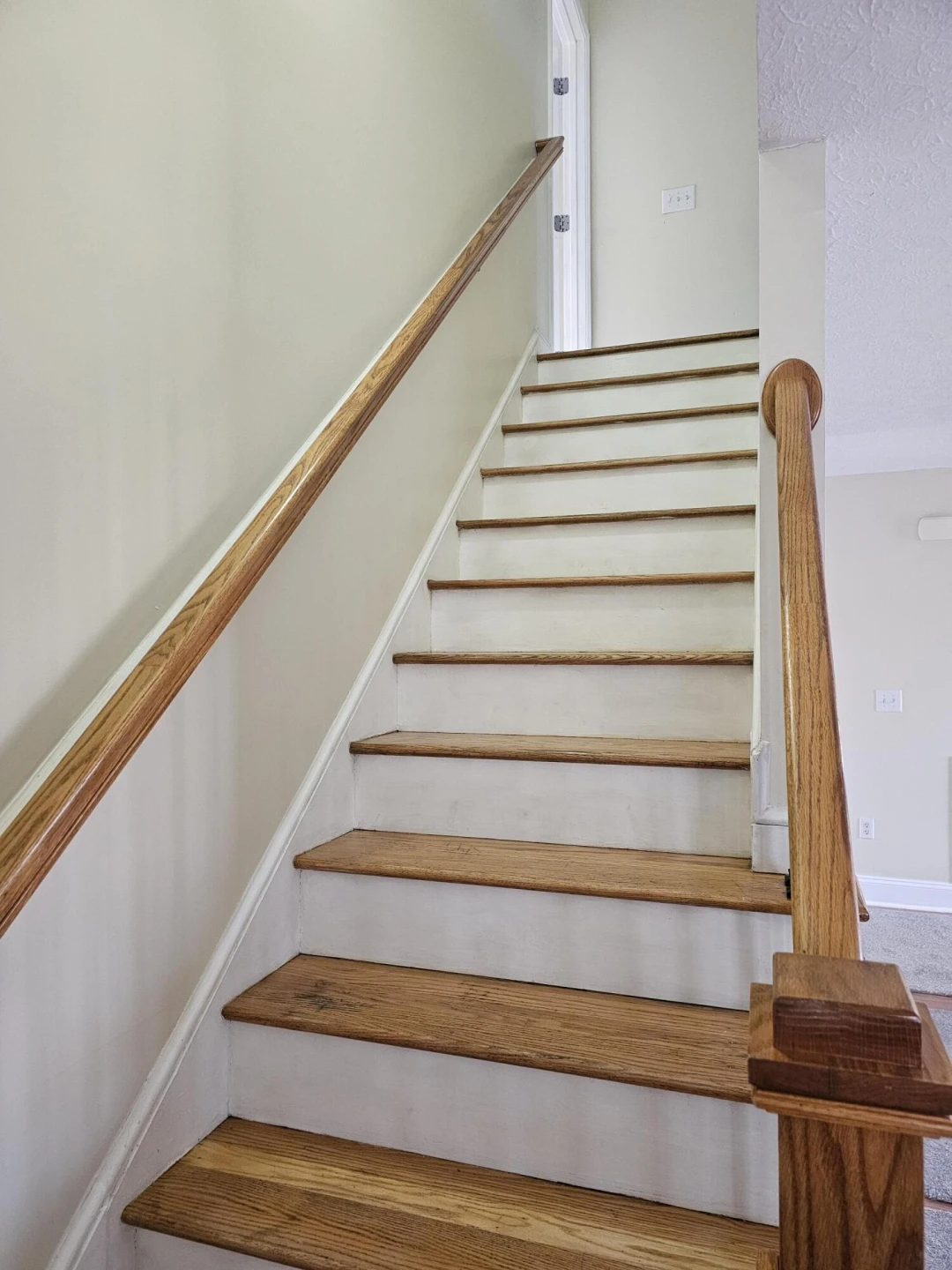 21 Berkeley LN - Photo 41