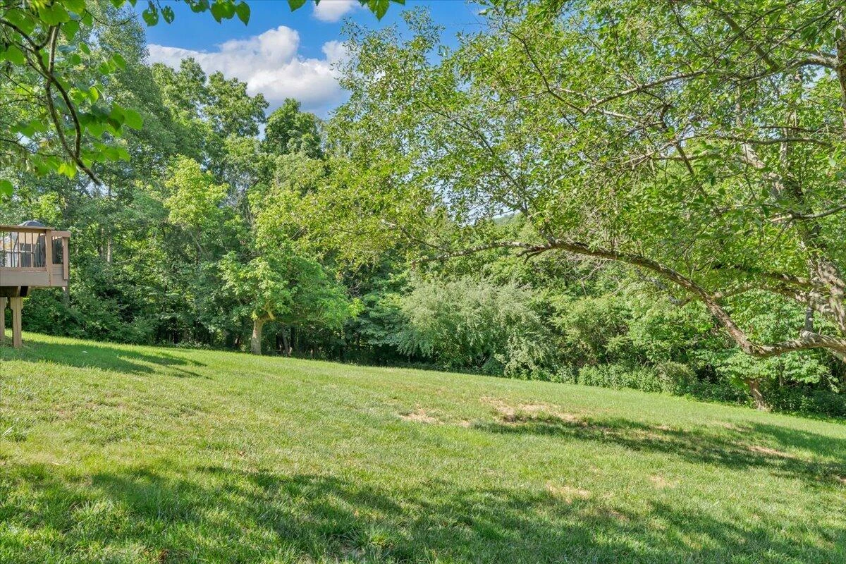 180 Daleview DR - Photo 37