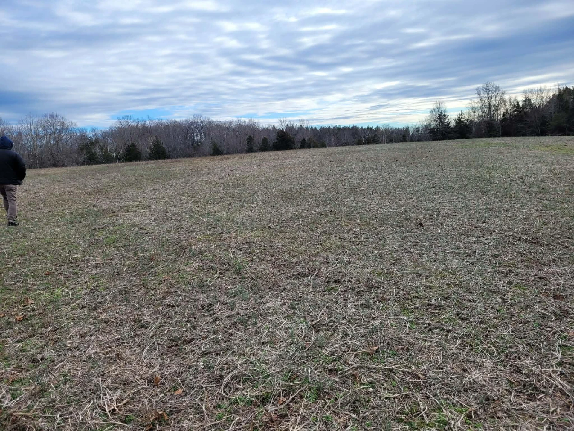 0 Maddox RD - Photo 21