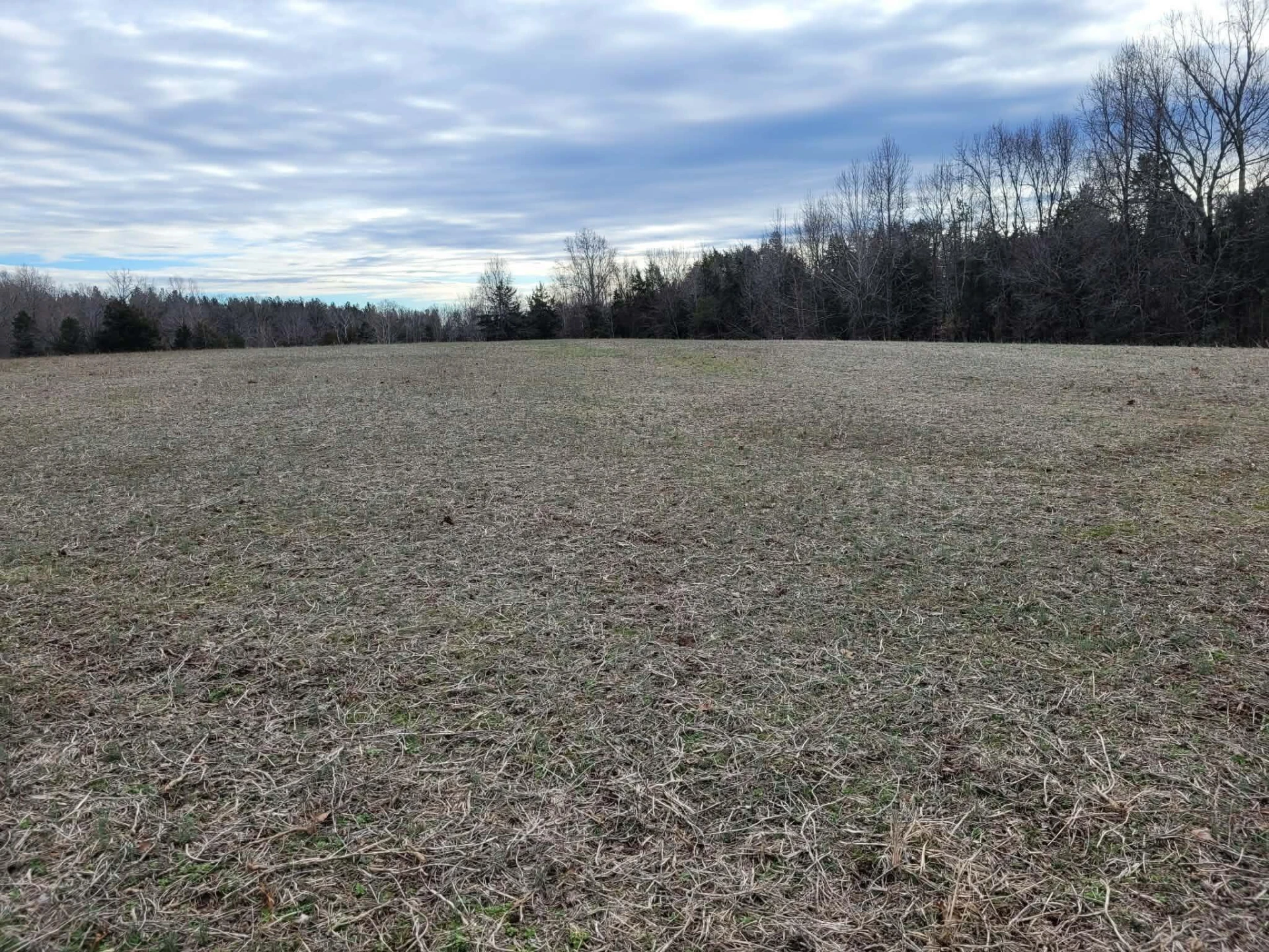 0 Maddox RD - Photo 22