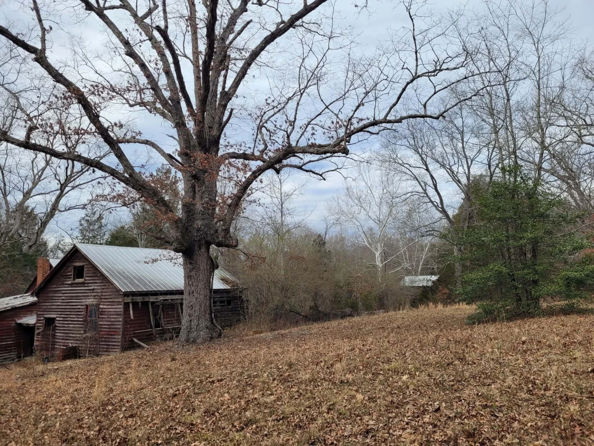 0 Maddox RD - Photo 3
