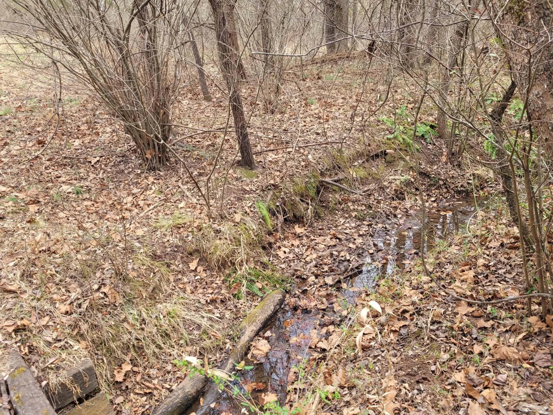 0 Maddox RD - Photo 4