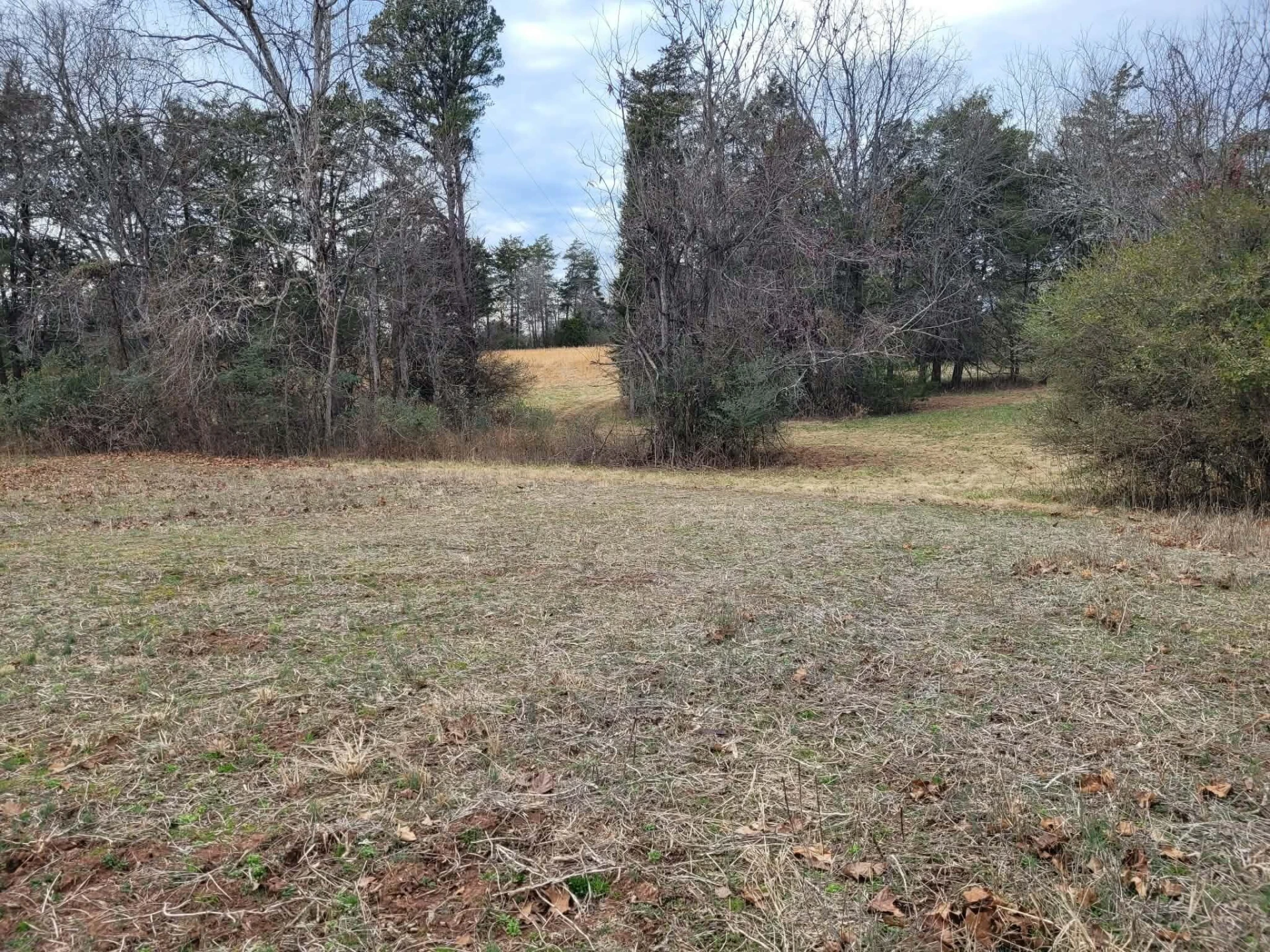 0 Maddox RD - Photo 7