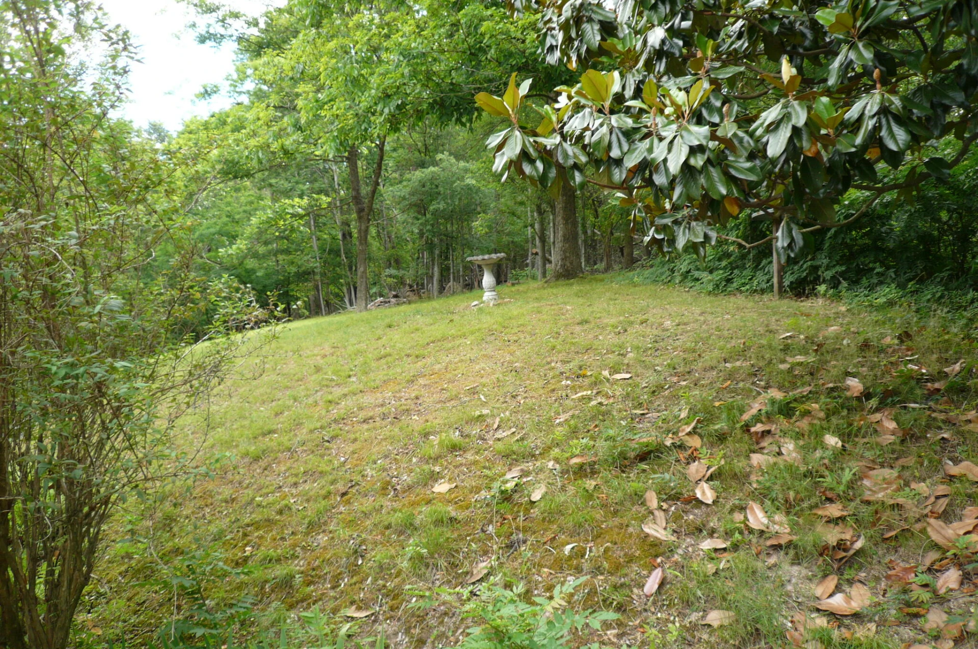 7330 Cove Hollow RD - Photo 12