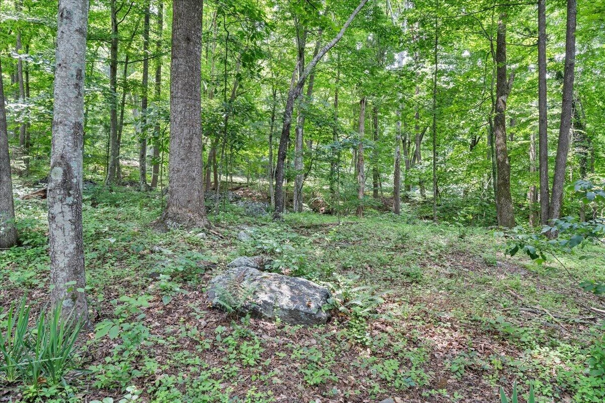 6932 Mary B PL - Photo 58