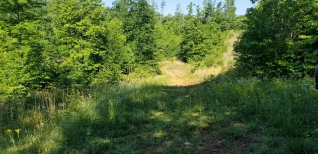 0 INDIAN SUMMER LN, Ferrum, VA, 24088