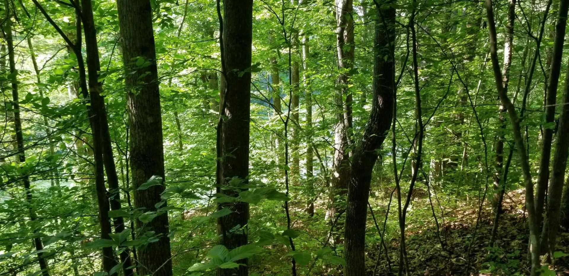 0 INDIAN SUMMER LN - Photo 10