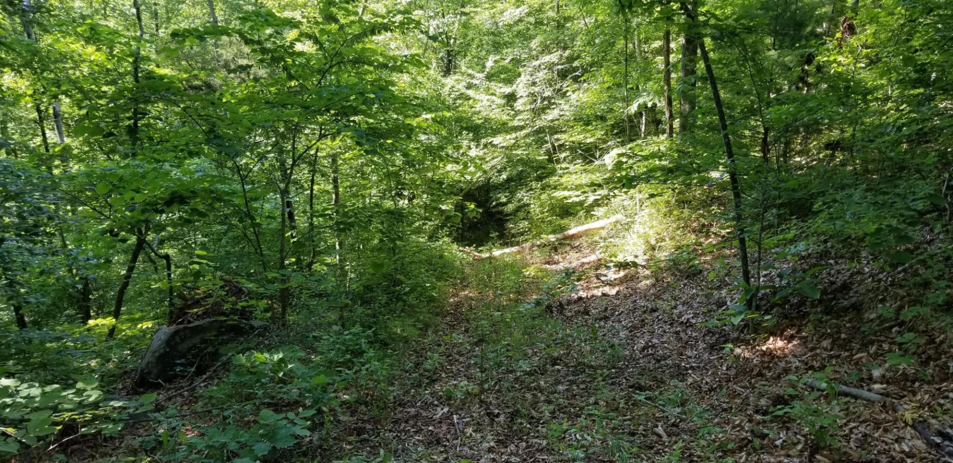 0 INDIAN SUMMER LN - Photo 13