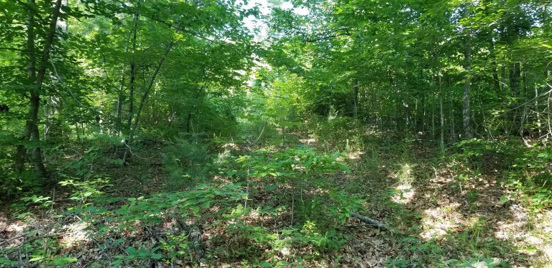 0 INDIAN SUMMER LN - Photo 14